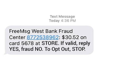 Debit Card Fraud Text Example